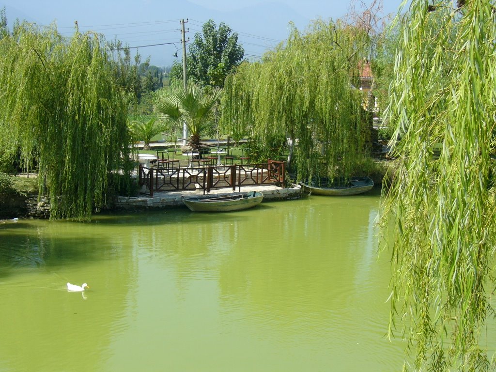 Aydın gezilecek yerler - Değirmen Parkı