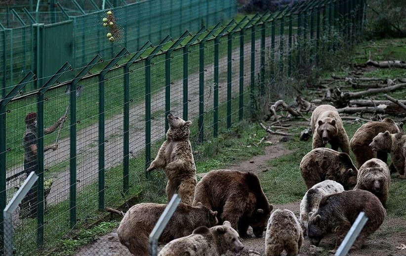 Bursa Gezi Rehberi